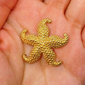 14K Gold Sally Star Ocean Brouch - main product photo