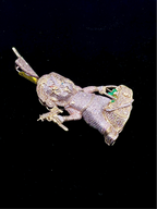 10K Gold Custom Chucky Diamond Pendant - additional product view 4