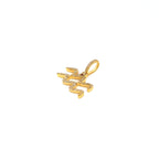 10K Gold Aquarius Sign Diamond Pendant - additional product view 3